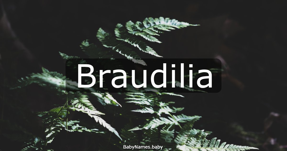 Braudilia