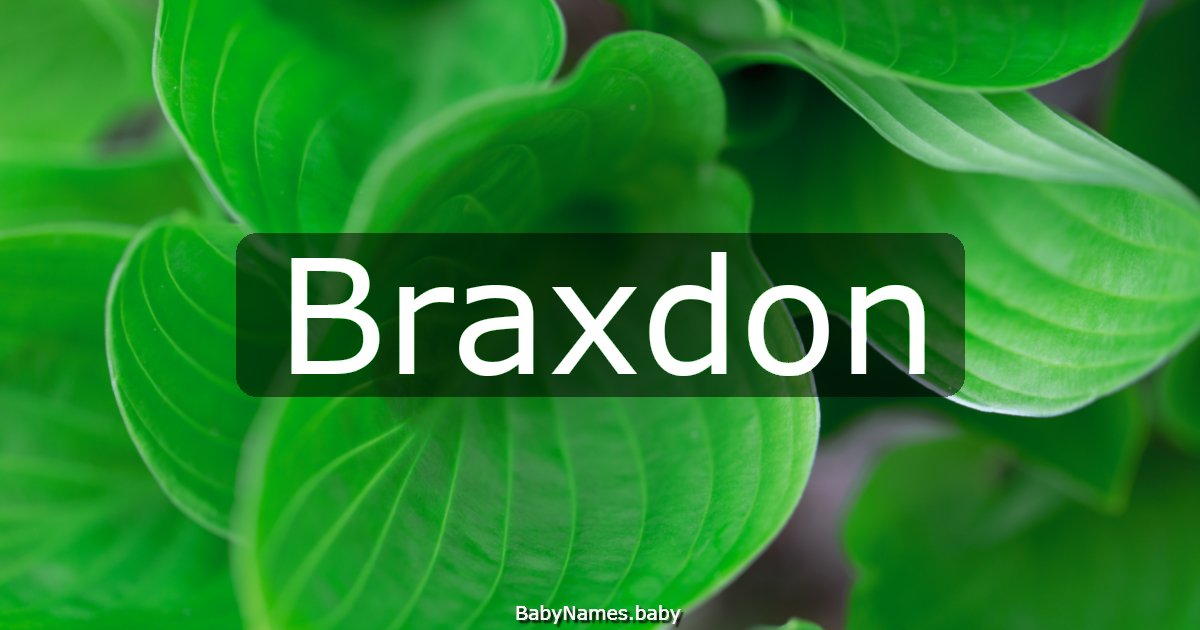 Braxdon
