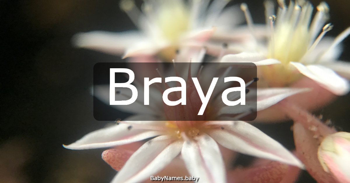 Braya