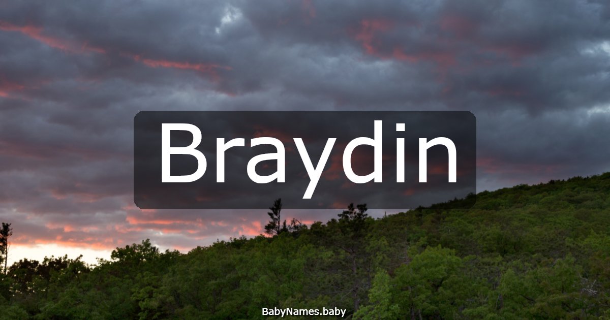 Braydin