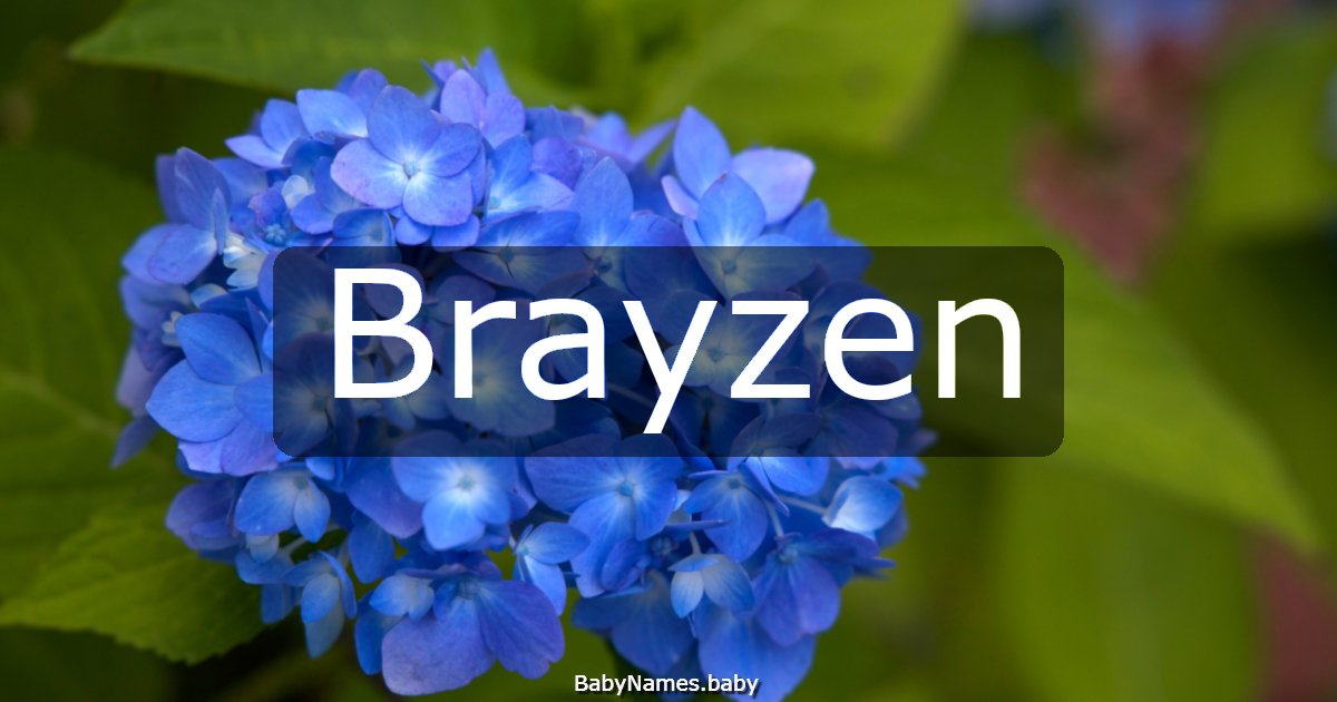 Brayzen