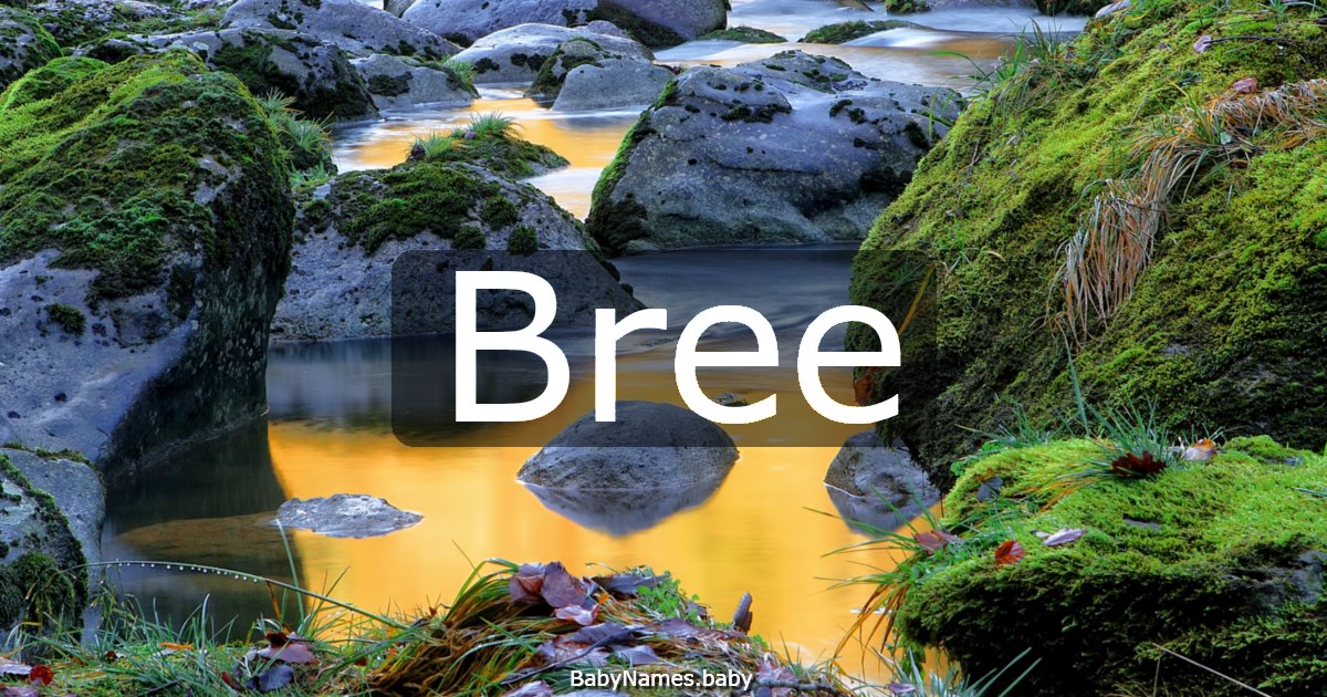 Bree