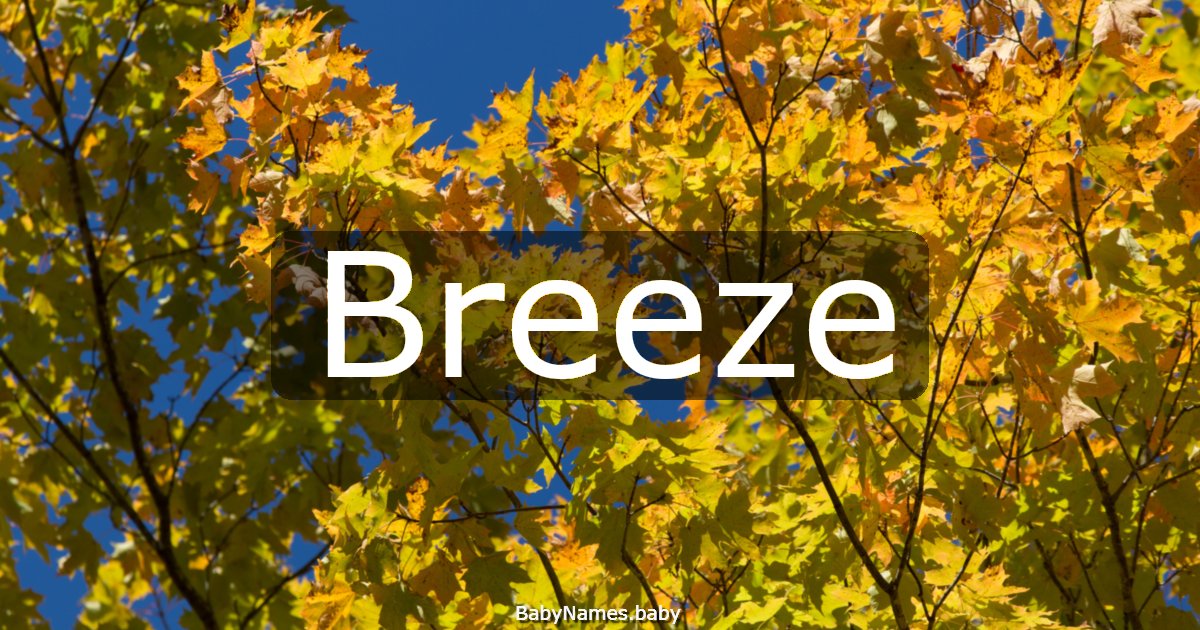 Breeze