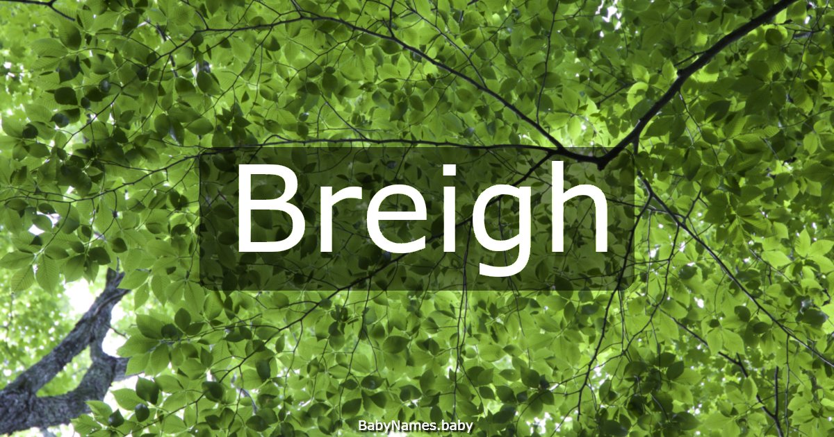 Breigh