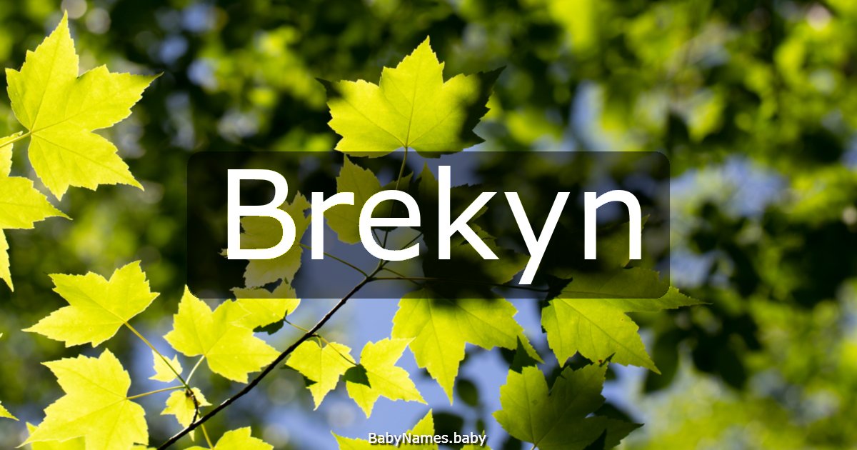 Brekyn
