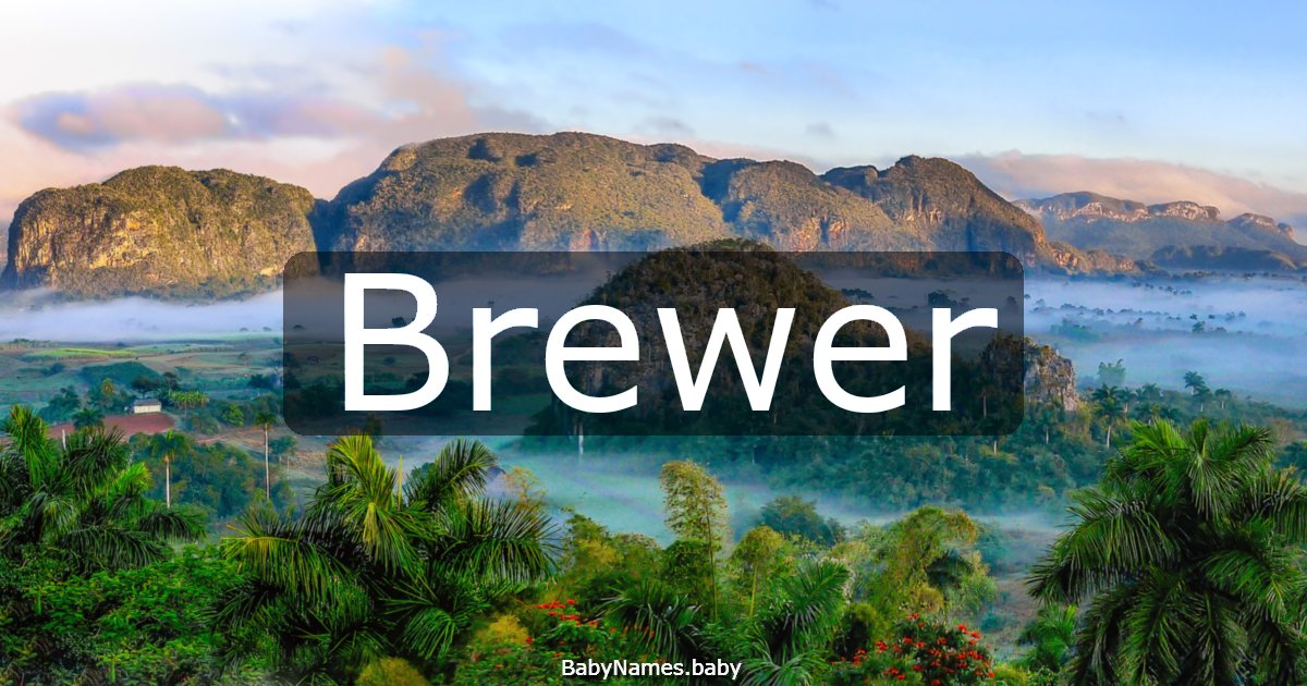 Brewer