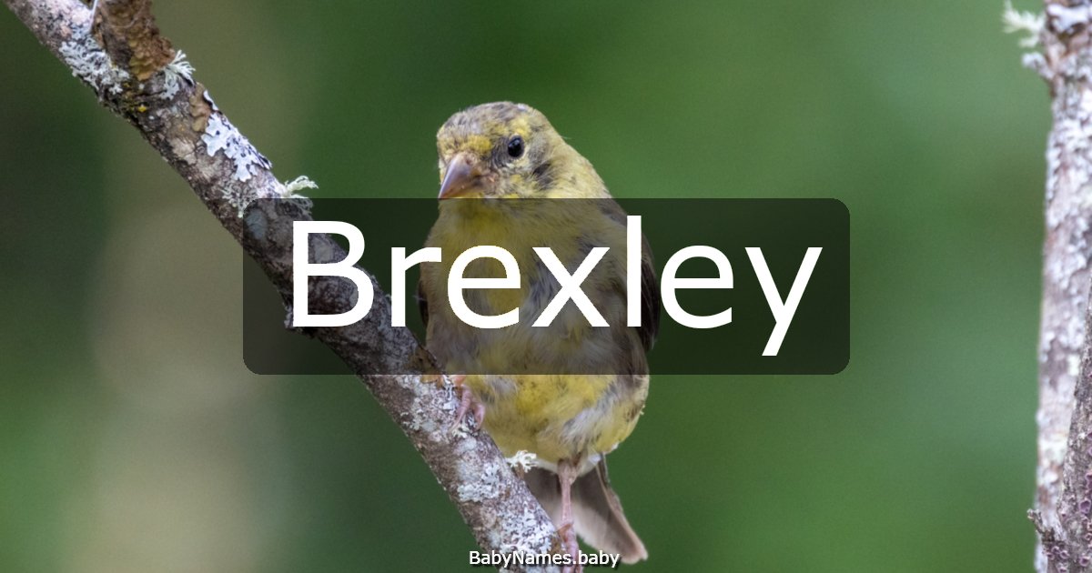Brexley