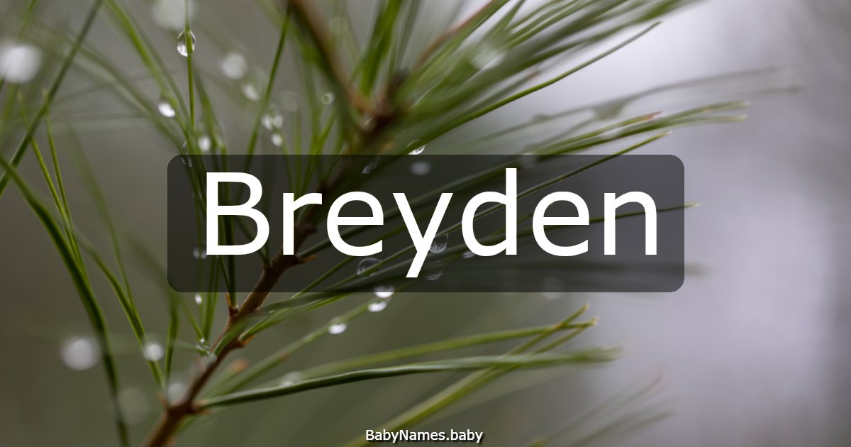Breyden