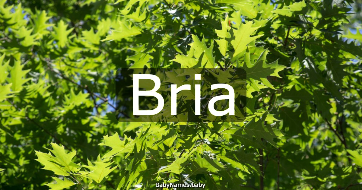 Bria