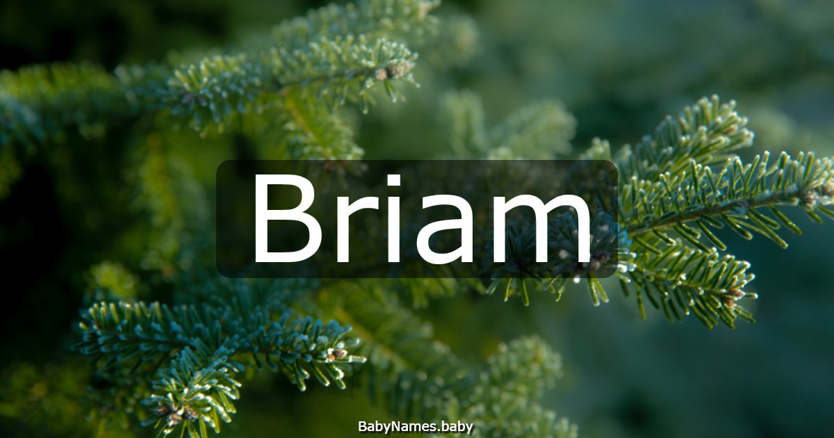 Briam