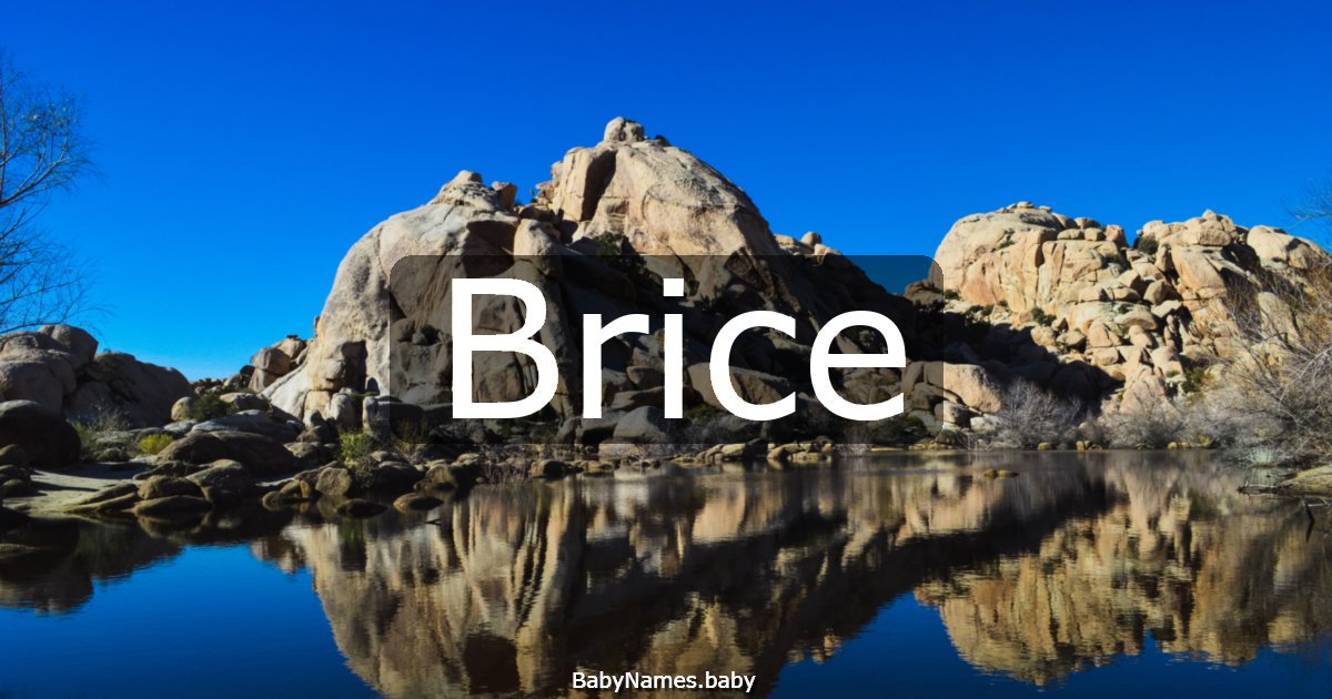 Brice