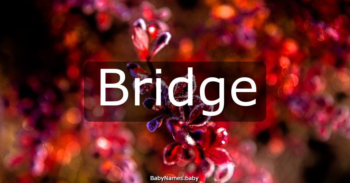 Bridge