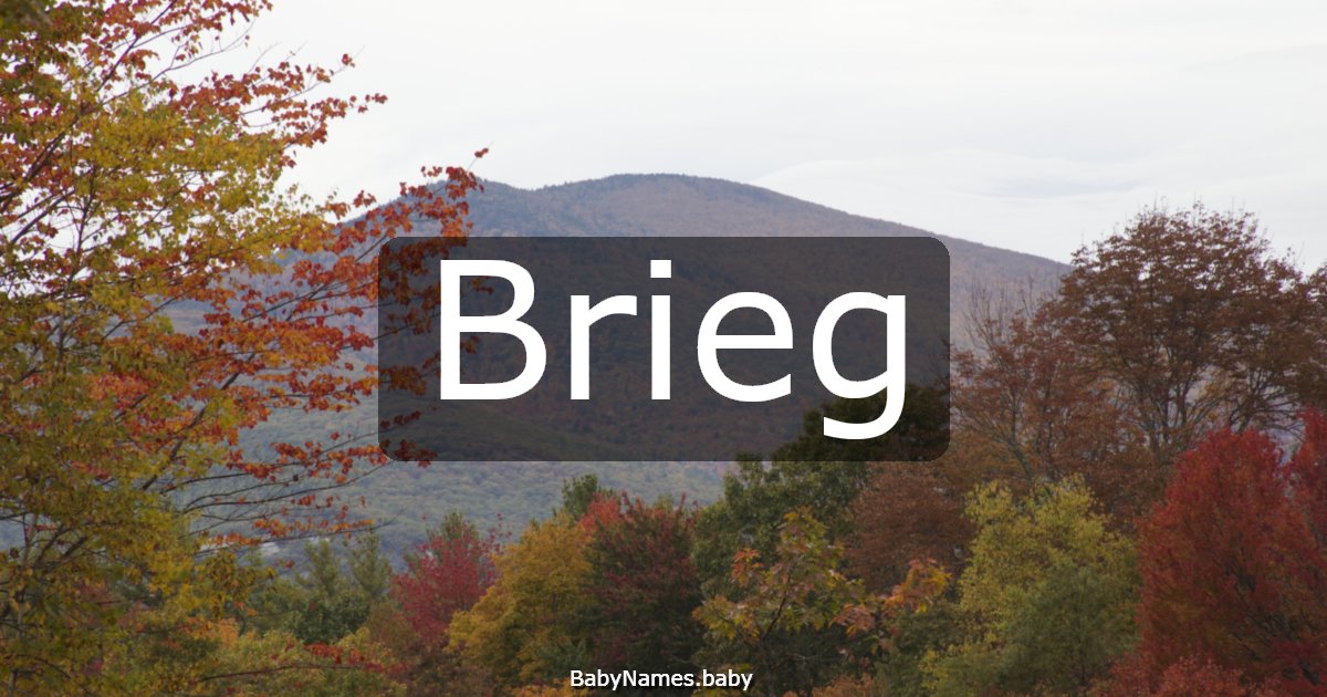 Brieg