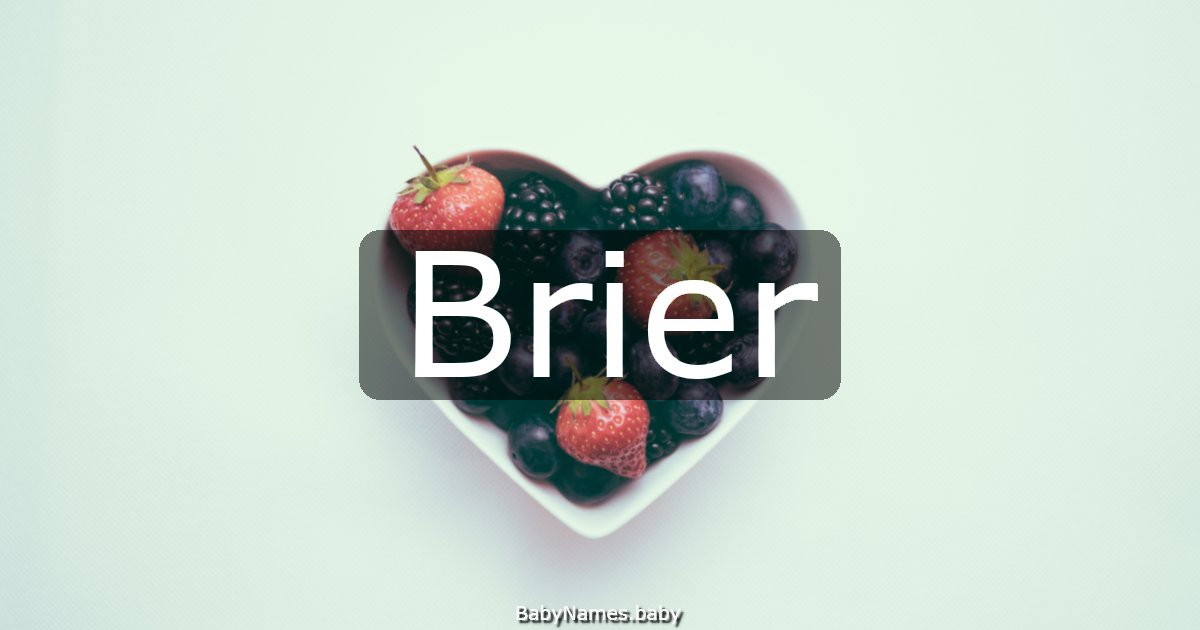 Brier