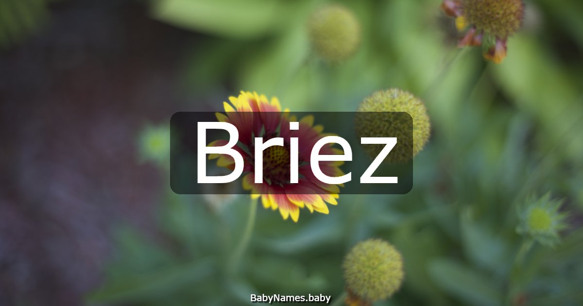 Briez