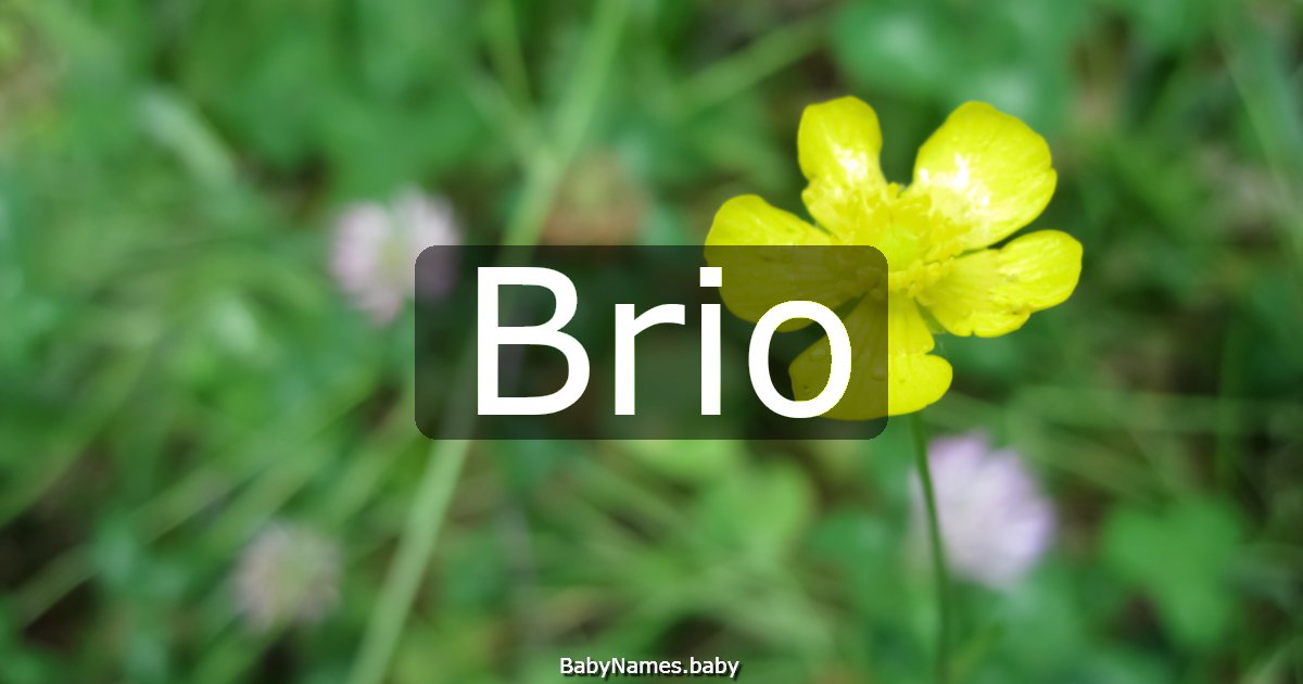 Brio