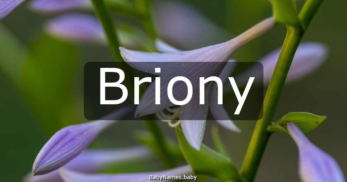 Briony