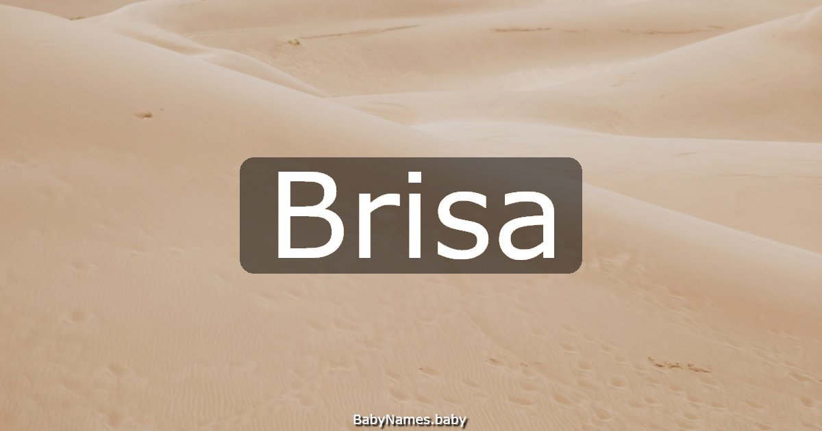 Brisa