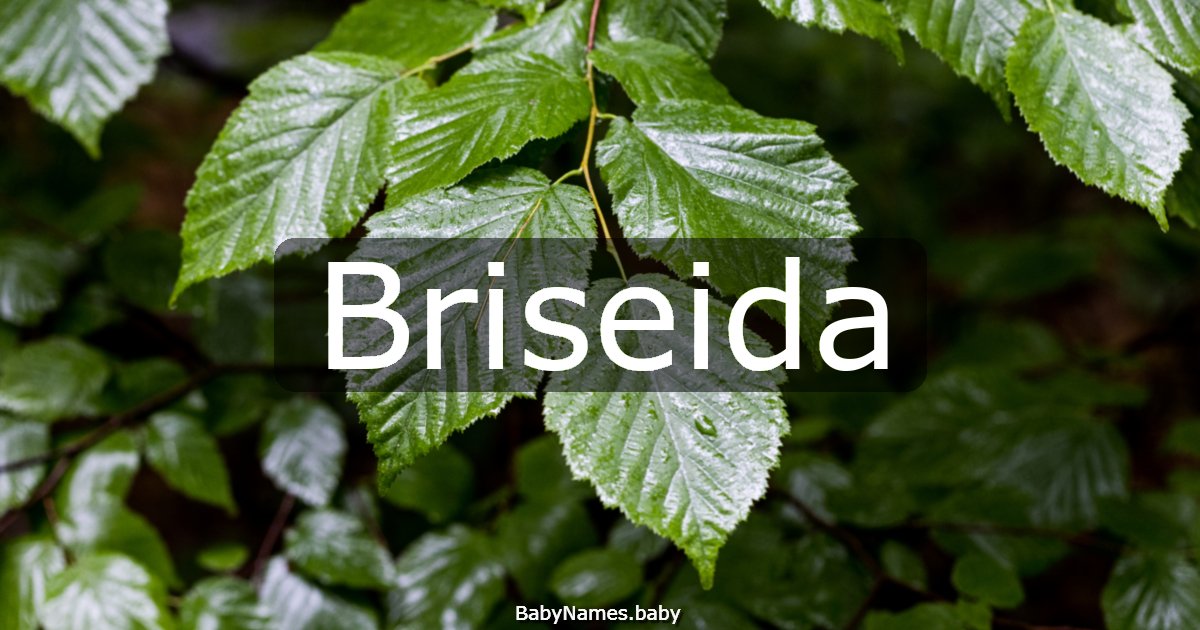 Briseida