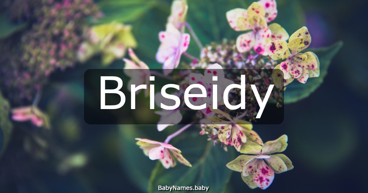 Briseidy