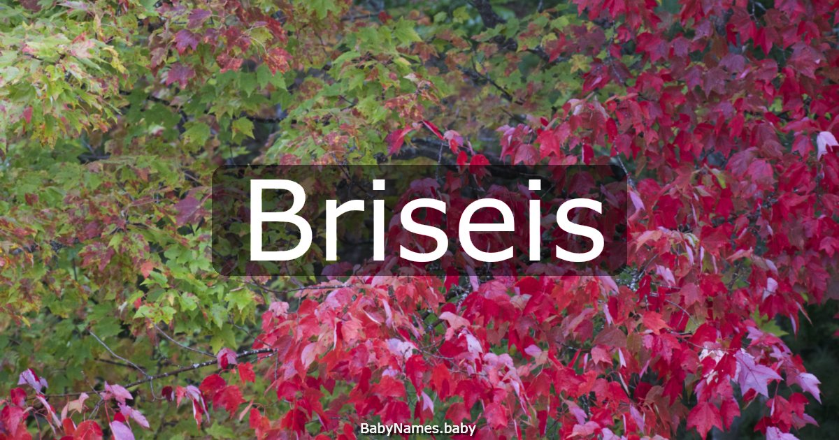 Briseis