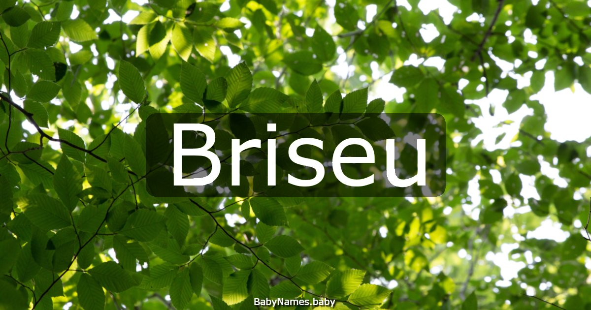 Briseu