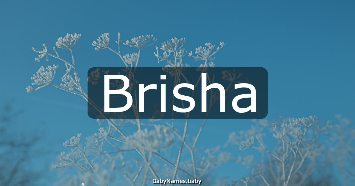 Brisha