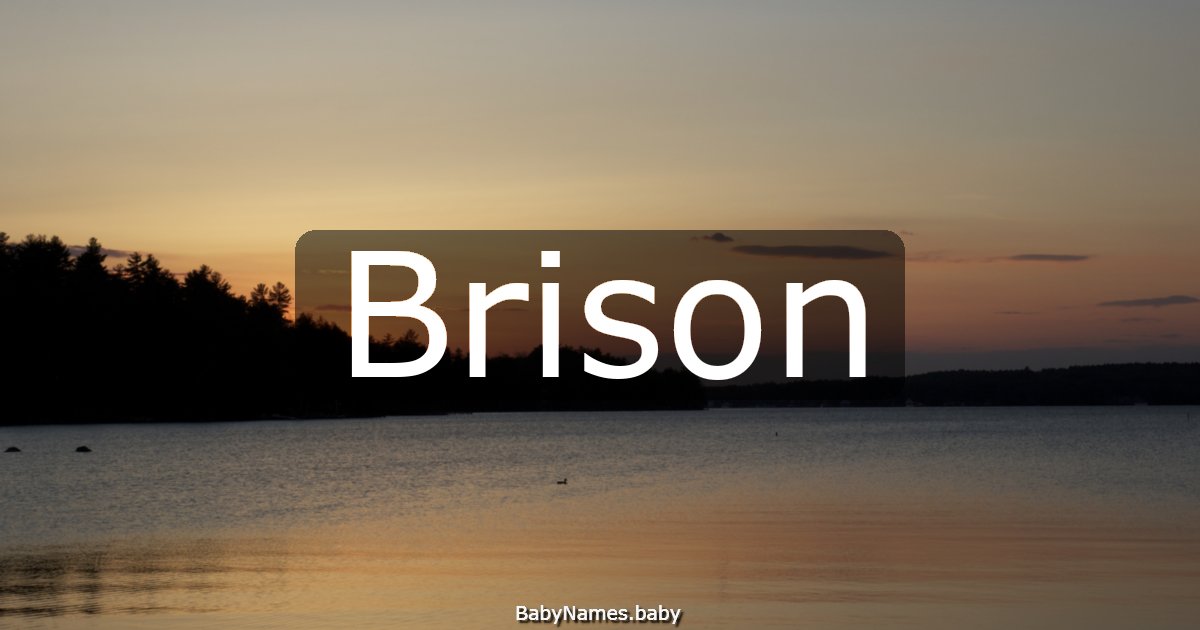 Brison