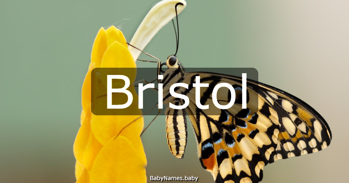 Bristol