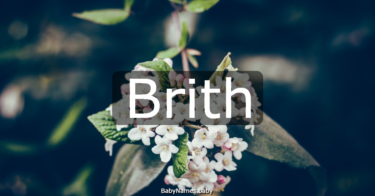 Brith