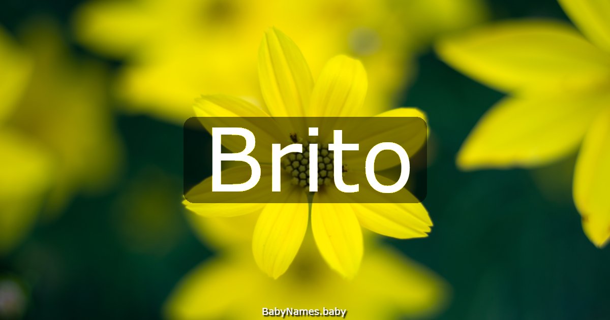 Brito