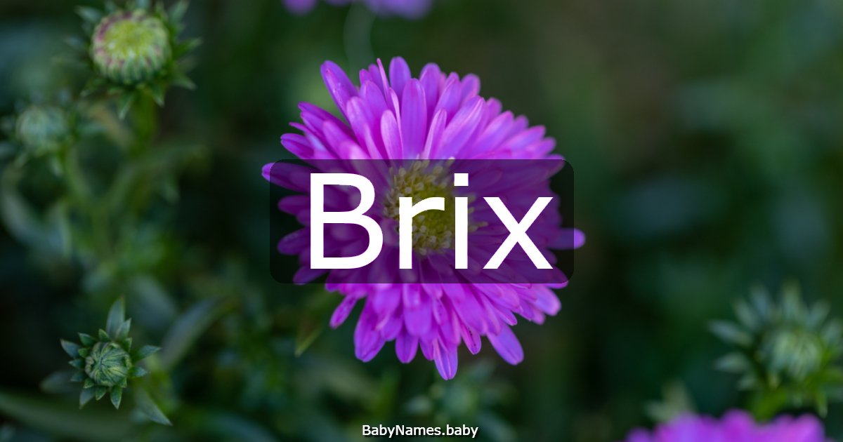 Brix