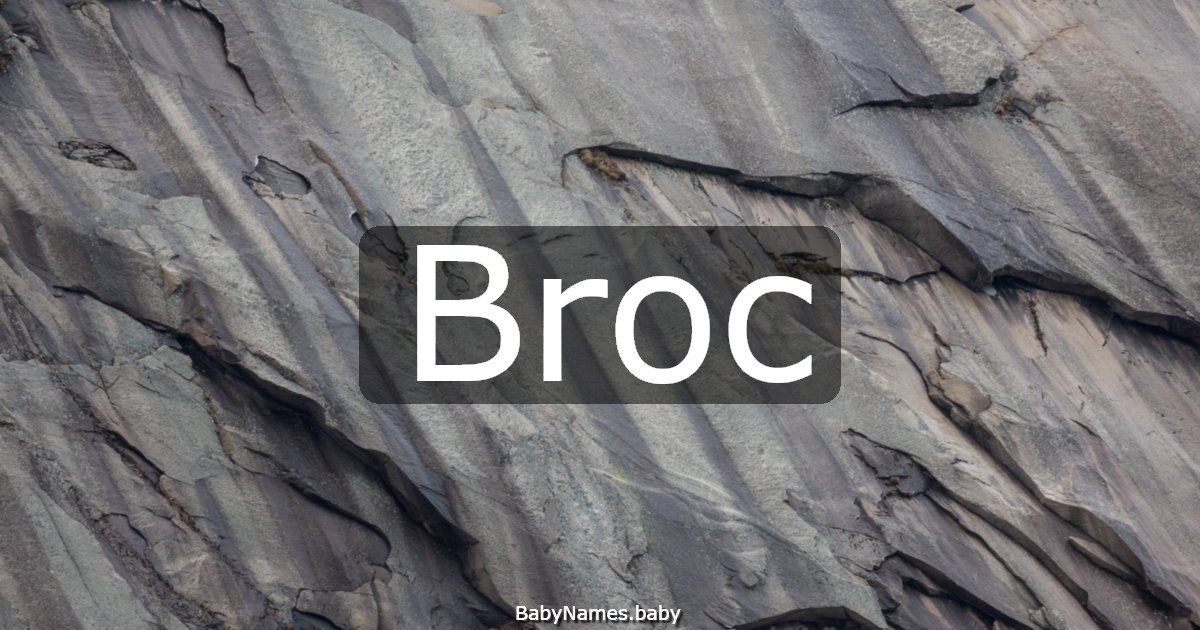 Broc