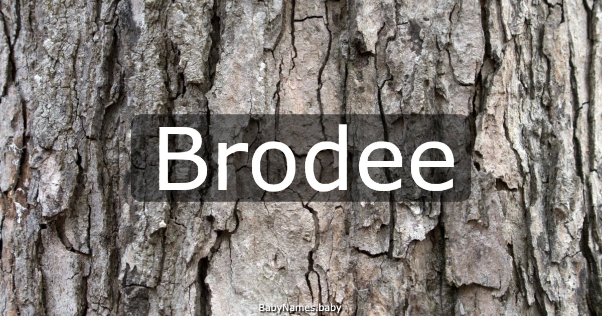 Brodee