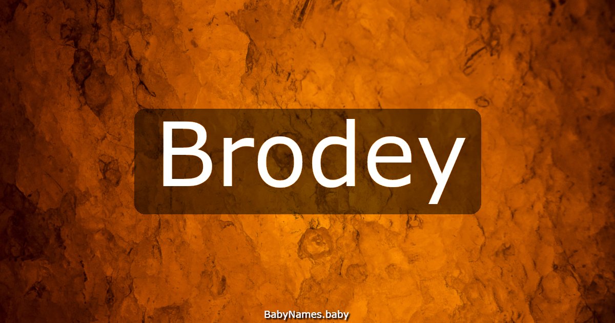 Brodey