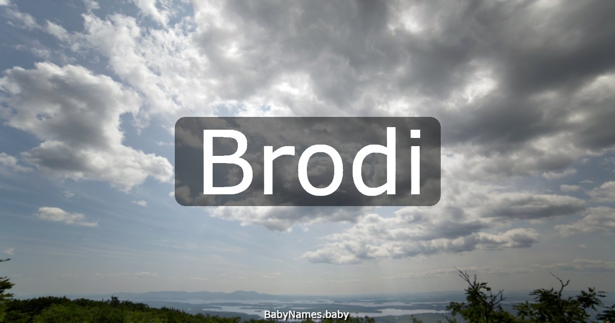 Brodi