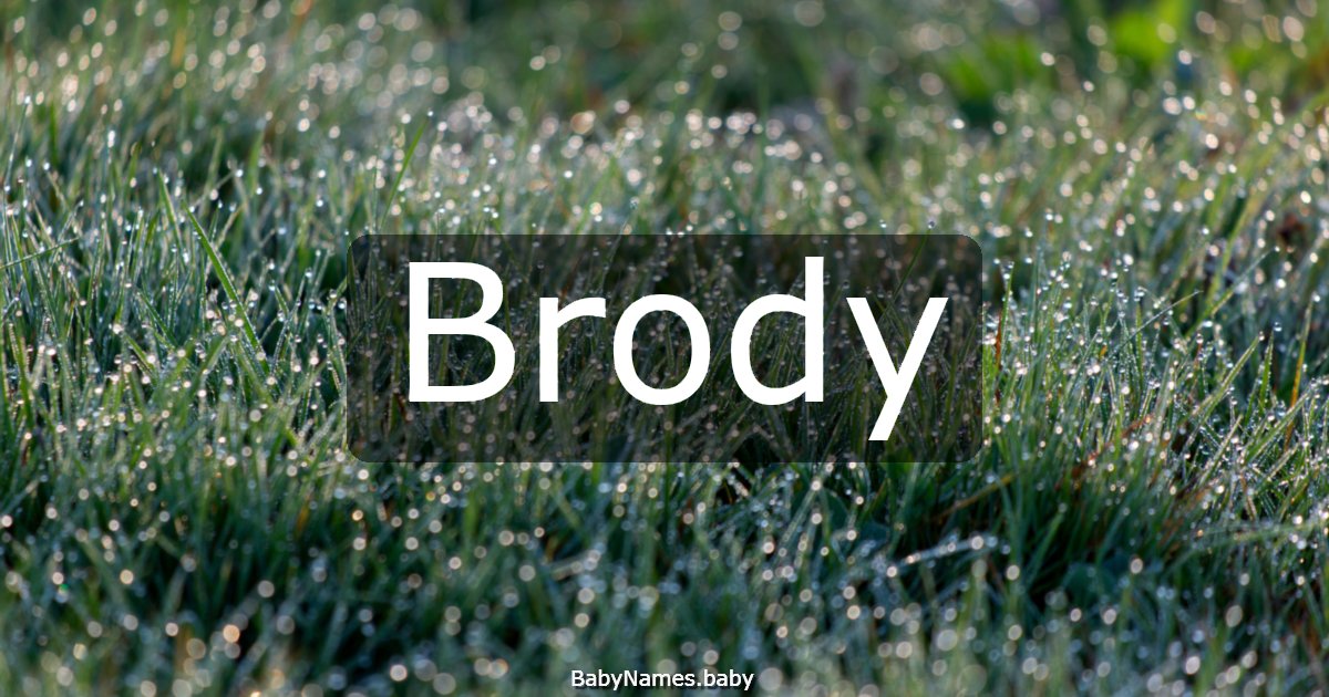 Brody