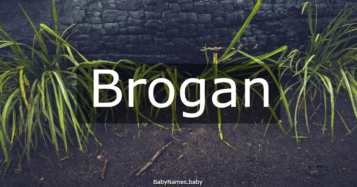 Brogan