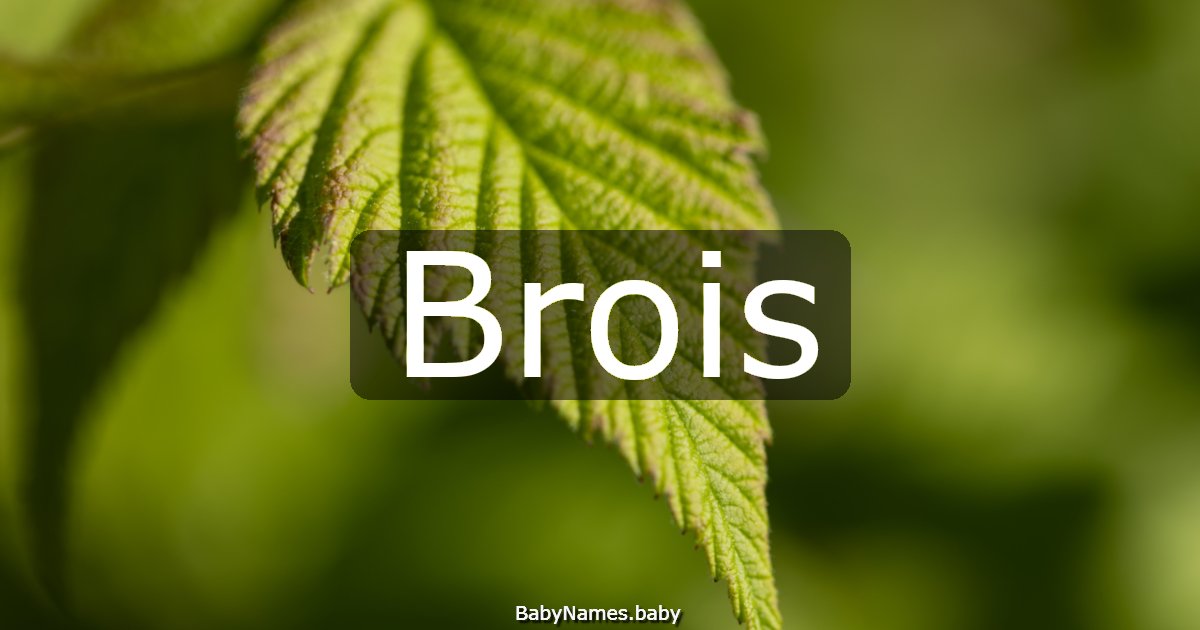 Brois