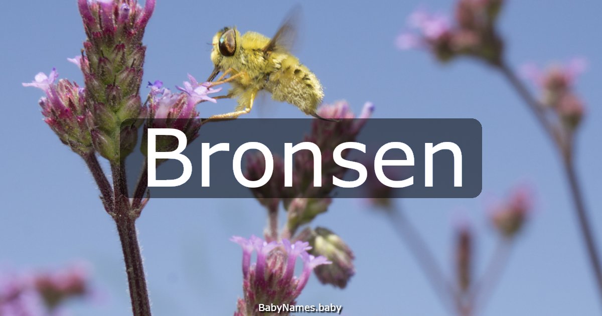 Bronsen