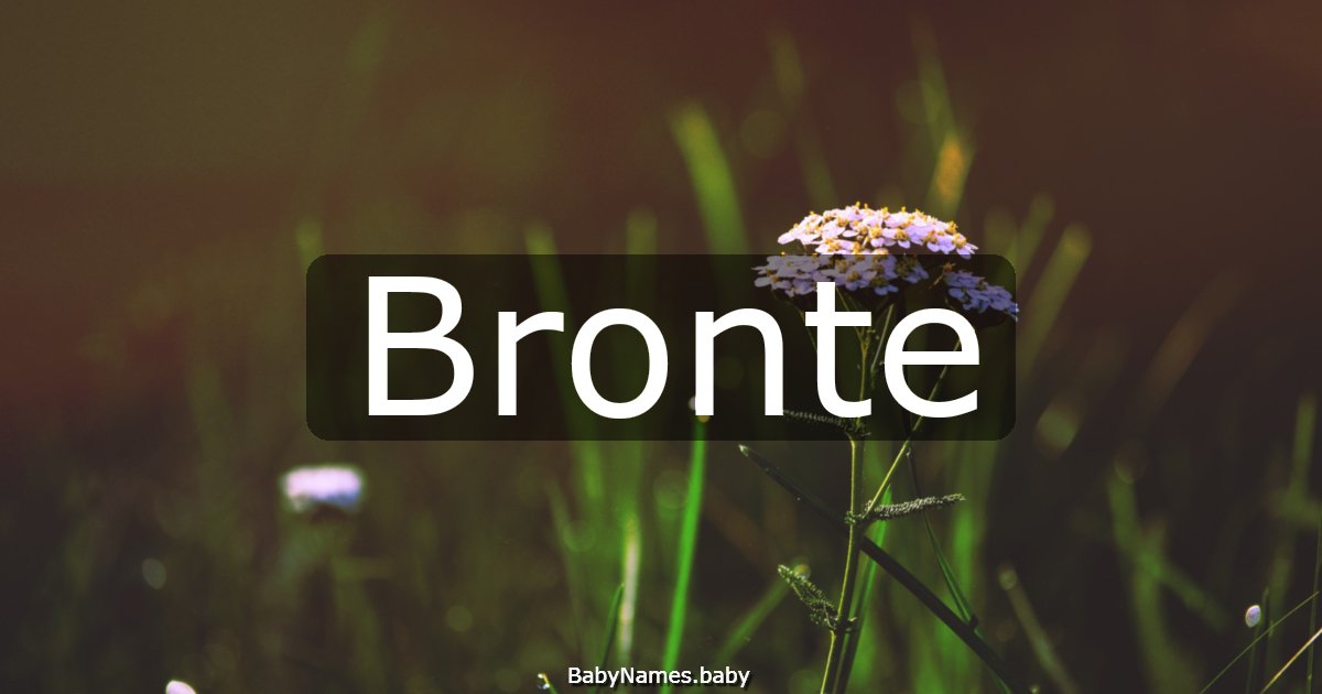Bronte