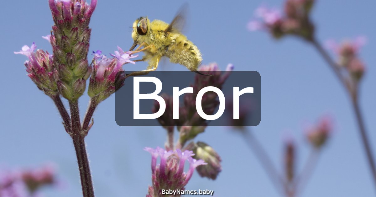 Bror