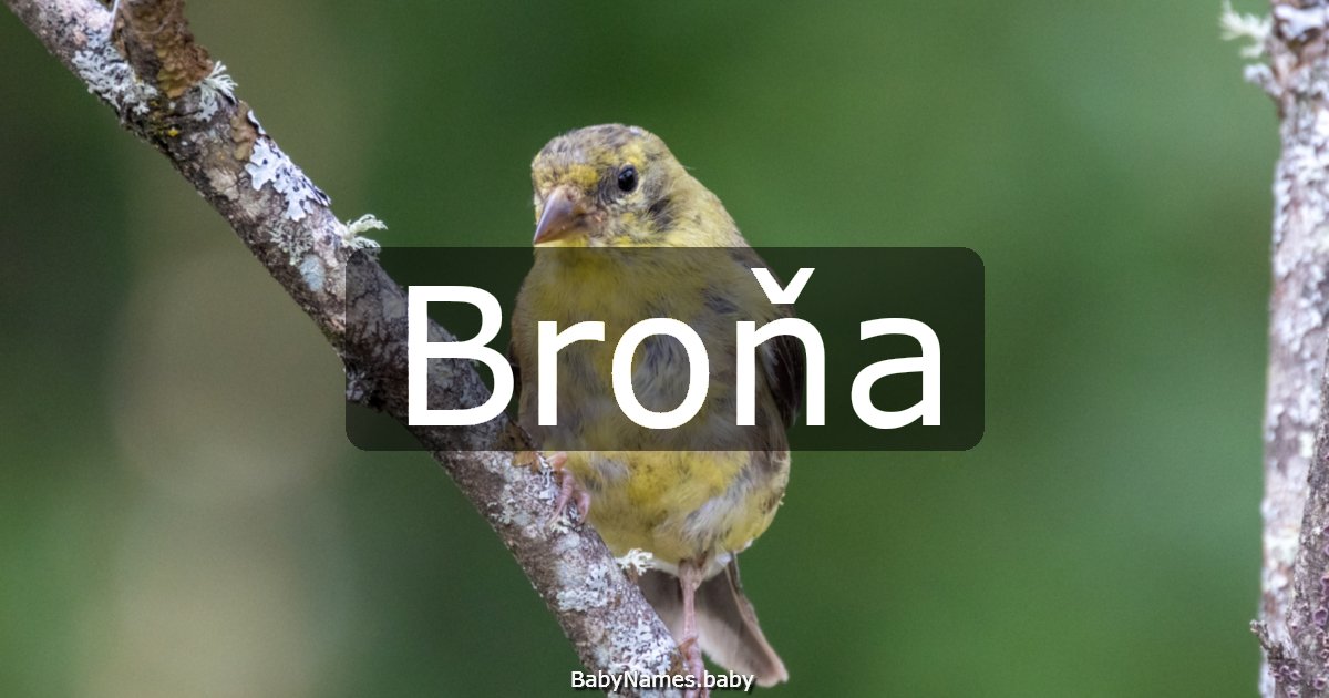 Broňa