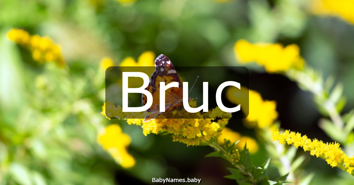 Bruc