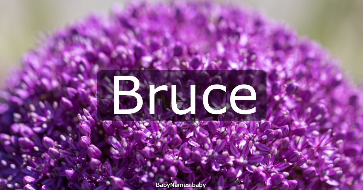 Bruce