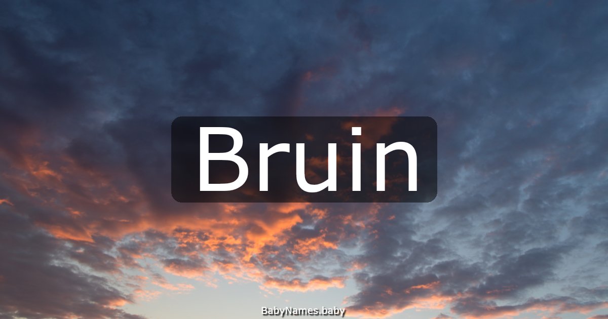 Bruin