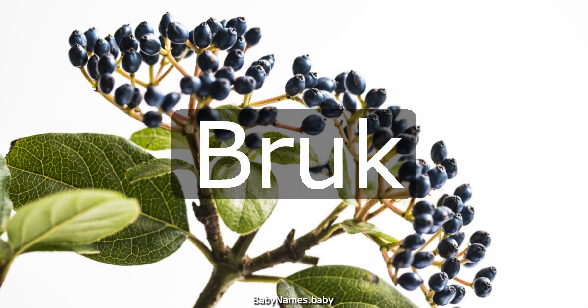 Bruk