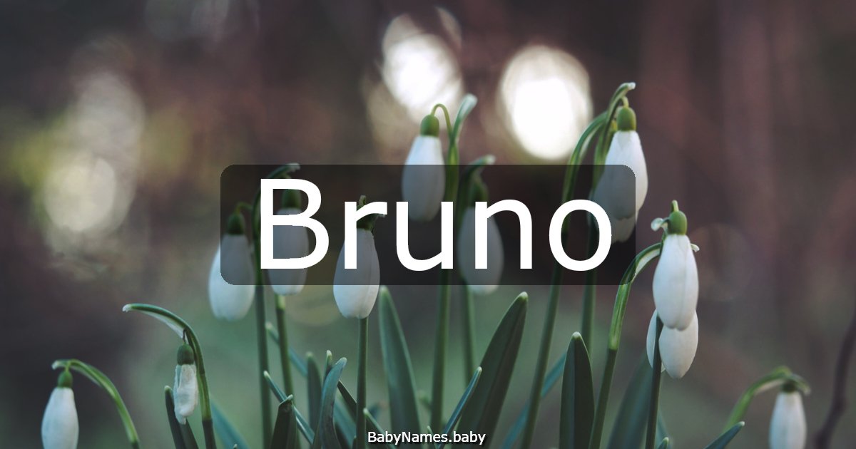 Bruno