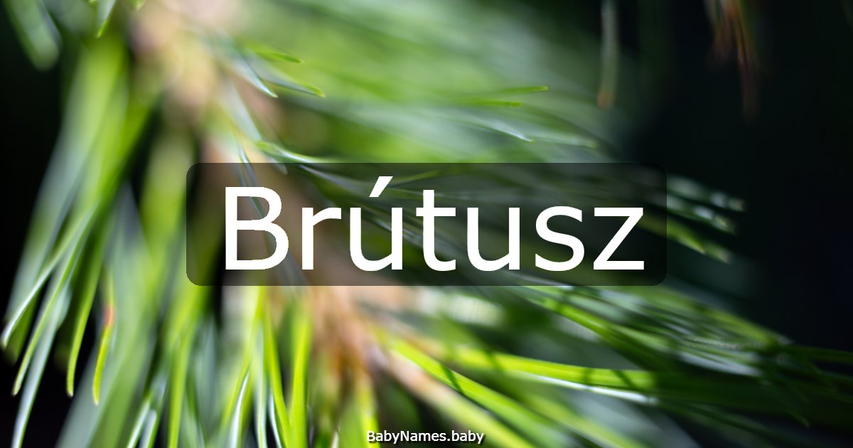 Brútusz