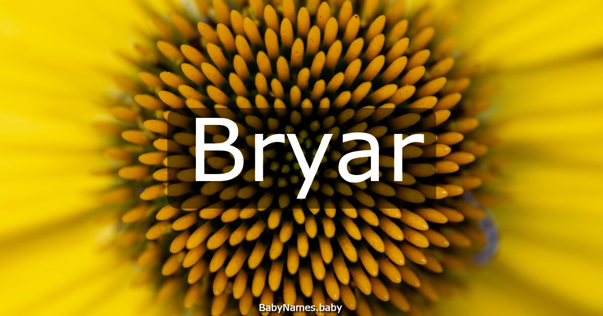 Bryar